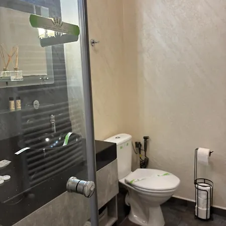 Deluxe 公寓 马马亚